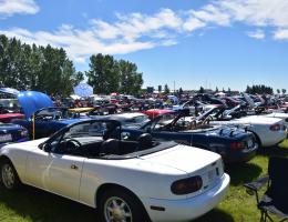 A sample of cars from The Ultimate Car Show in 2022